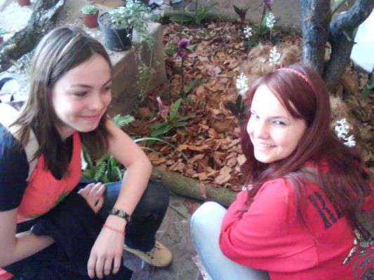 Klikněte pro zobrazení původního (velkého) obrázku