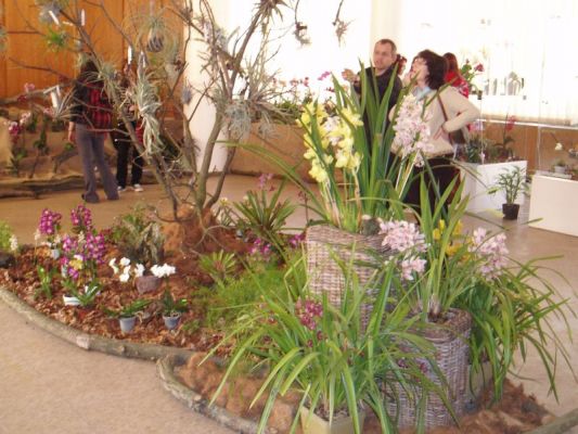 Klikněte pro zobrazení původního (velkého) obrázku