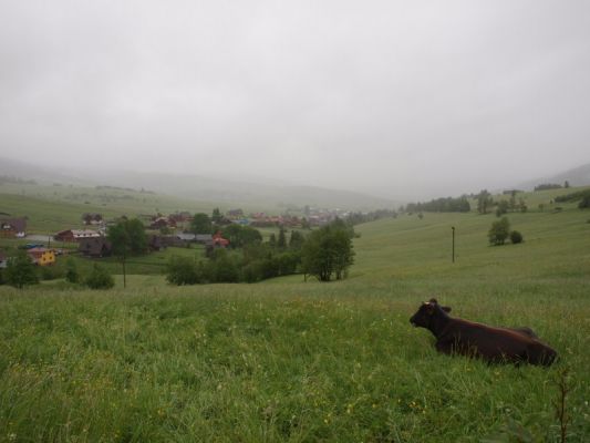 Klikněte pro zobrazení původního (velkého) obrázku