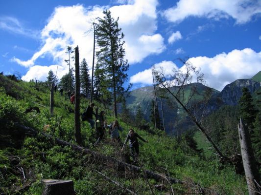 Klikněte pro zobrazení původního (velkého) obrázku