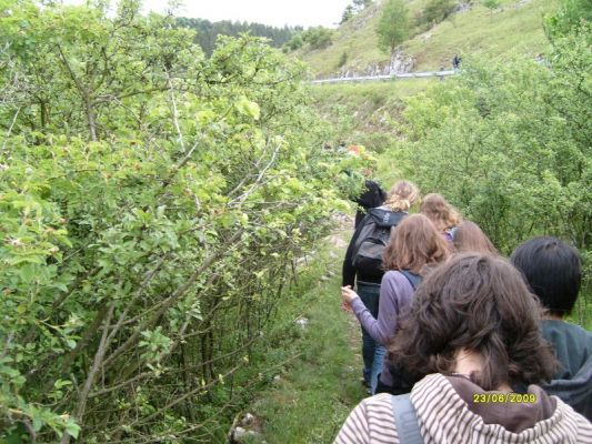 Klikněte pro zobrazení původního (velkého) obrázku