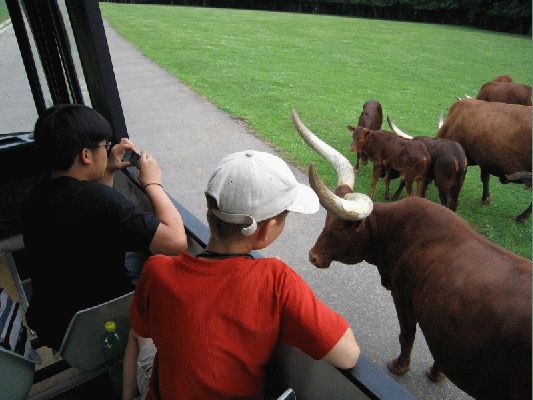 Klikněte pro zobrazení původního (velkého) obrázku