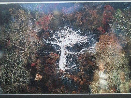 Klikněte pro zobrazení původního (velkého) obrázku