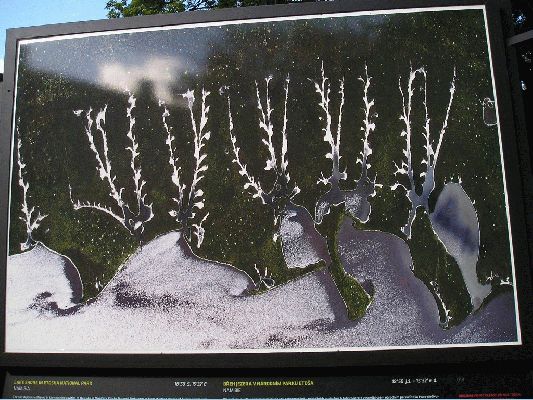 Klikněte pro zobrazení původního (velkého) obrázku