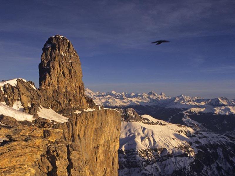 devilskittle.jpg devilskittle.jpg